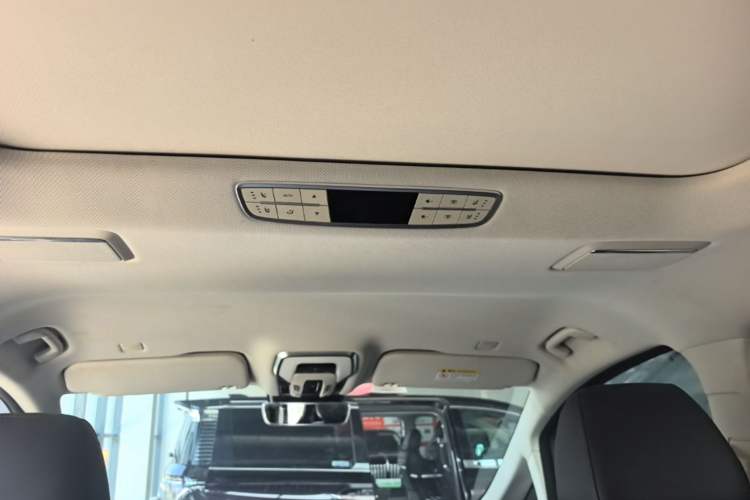 Used Hongqi HQ9 2023 2.0T Smart Connect Flagship Edition Headliner