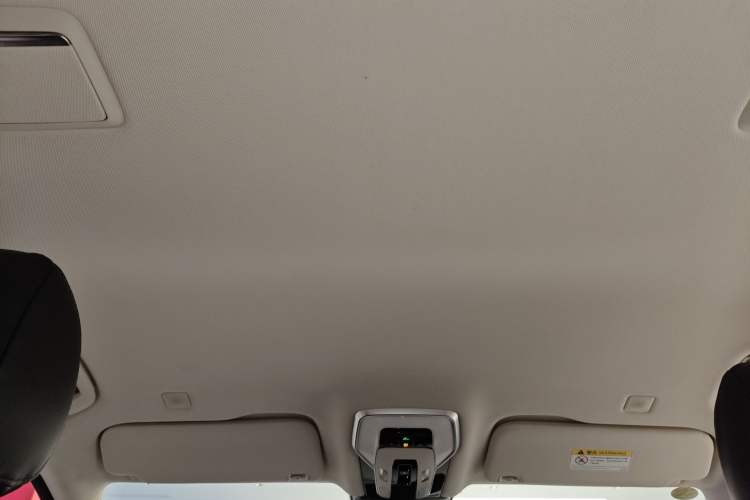 Used Hongqi HQ9 2023 2.0T Smart Connect Flagship Edition Headliner