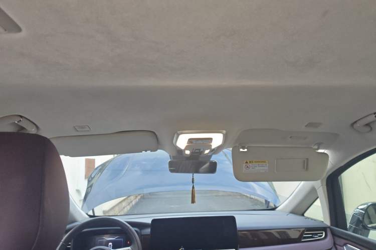 Used Hongqi HQ9 2023 2.0T Smart Connect Flagship Edition Headliner