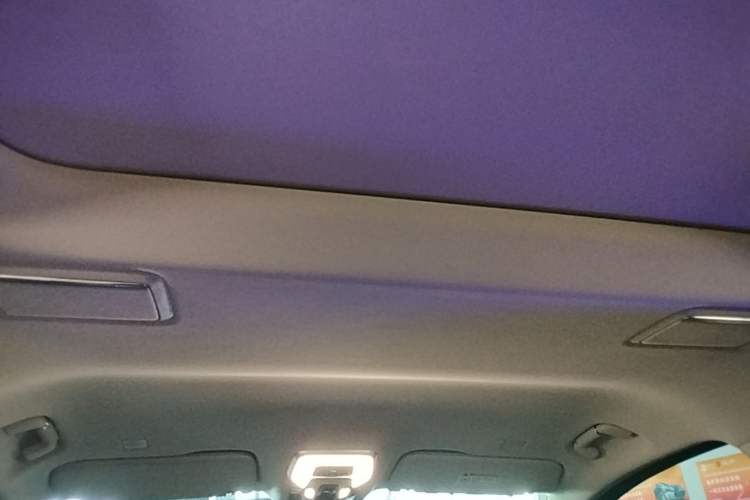Used Hongqi HQ9 2023 2.0T Smart Connect Flagship Edition Headliner