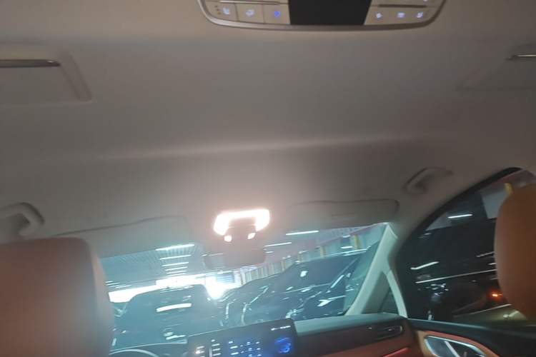 Used Hongqi HQ9 2023 2.0T Smart Connect Flagship Edition Headliner