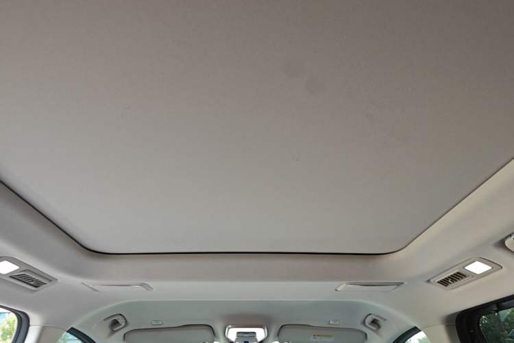 Used Hongqi HQ9 2023 2.0T Smart Connect Flagship Edition Headliner