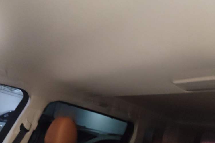 Used Hongqi HQ9 2023 2.0T Smart Connect Flagship Edition Headliner