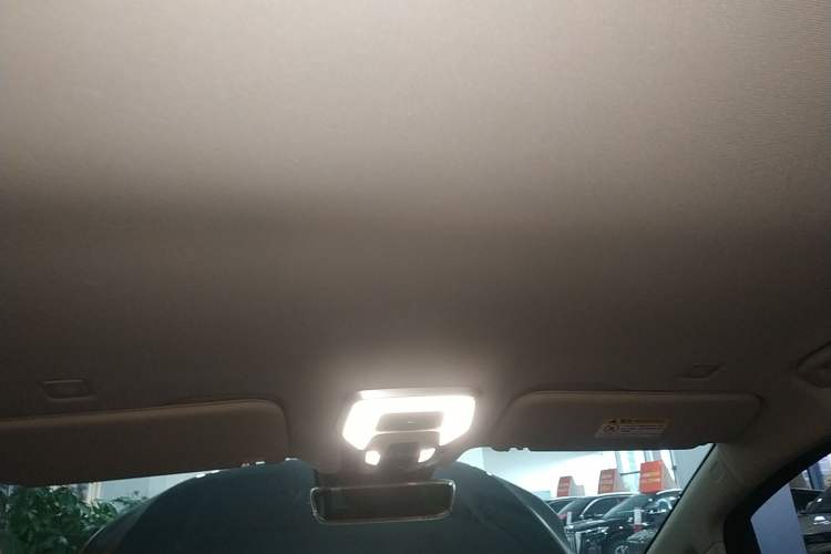 Used Hongqi HQ9 2023 2.0T Smart Connect Flagship Edition Headliner