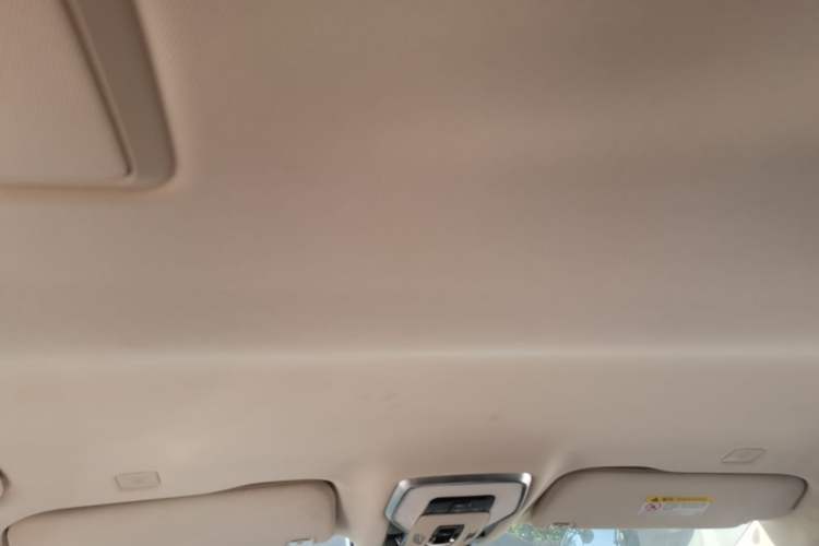 Used Hongqi HQ9 2023 2.0T Smart Connect Flagship Edition Headliner