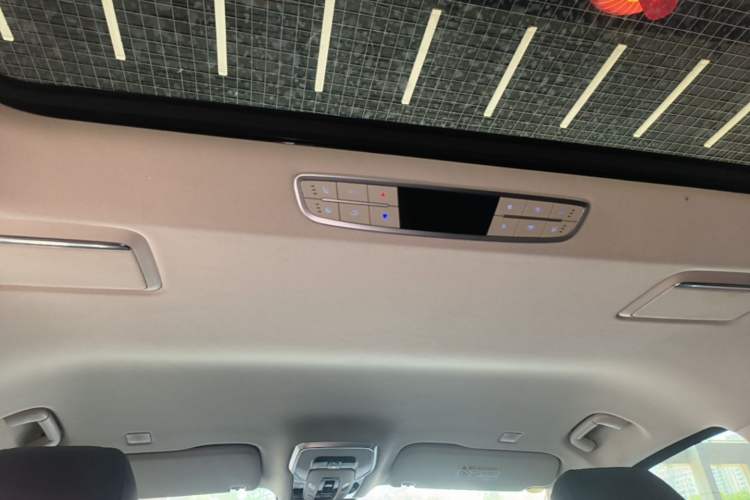 Used Hongqi HQ9 2023 2.0T Smart Connect Flagship Edition Headliner
