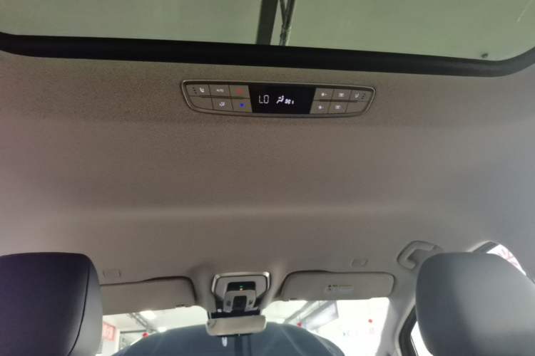 Used Hongqi HQ9 2023 2.0T Smart Connect Flagship Edition Headliner