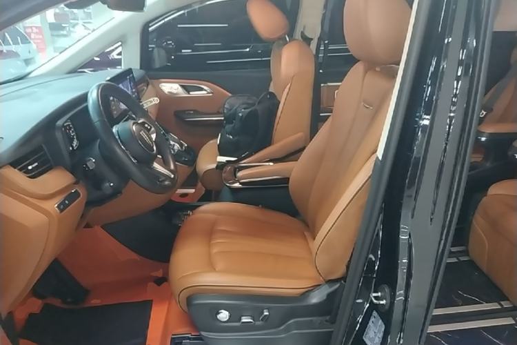 Used Hongqi HQ9 2023 2.0T Smart Connect Flagship Edition Left Front Seat