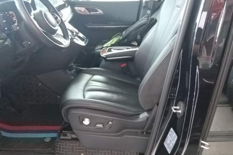 Used Hongqi HQ9 2023 2.0T Smart Connect Flagship Edition Left Front Seat