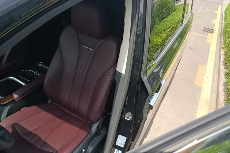 Used Hongqi HQ9 2023 2.0T Smart Connect Flagship Edition Left Front Seat