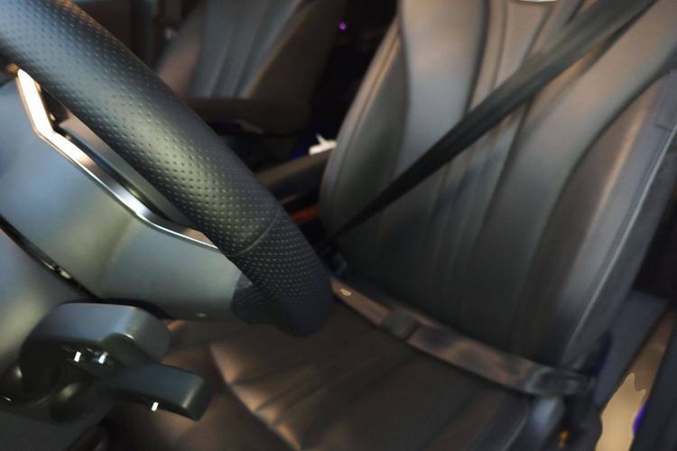 Used Hongqi HQ9 2023 2.0T Smart Connect Flagship Edition Left Front Seat