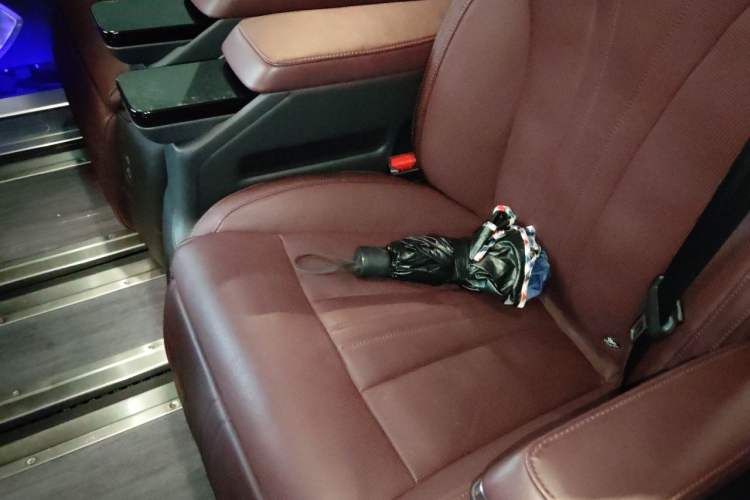 Used Hongqi HQ9 2023 2.0T Smart Connect Flagship Edition Left Rear Seat