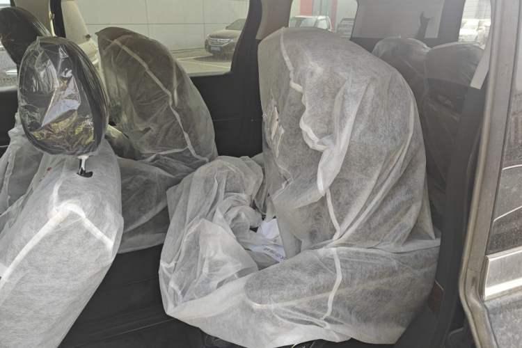 Used Hongqi HQ9 2023 2.0T Smart Connect Flagship Edition Left Rear Seat