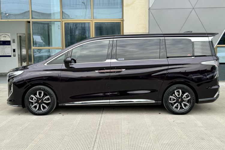 Used Hongqi HQ9 2023 2.0T Smart Connect Flagship Edition Left Side