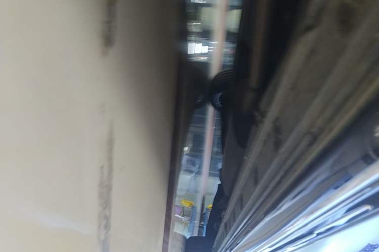 Used Hongqi HQ9 2023 2.0T Smart Connect Flagship Edition Left Side Sill