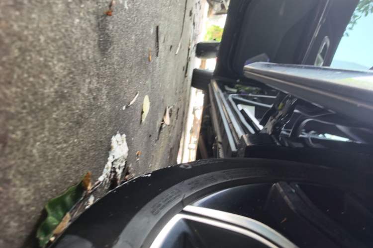 Used Hongqi HQ9 2023 2.0T Smart Connect Flagship Edition Left Side Sill