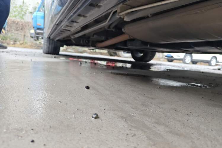 Used Hongqi HQ9 2023 2.0T Smart Connect Flagship Edition Left Side Sill