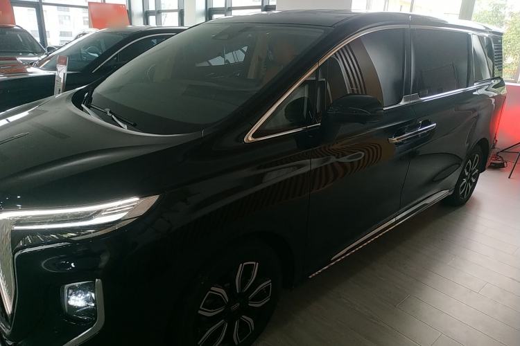 Used Hongqi HQ9 2023 2.0T Smart Connect Flagship Edition Left Side