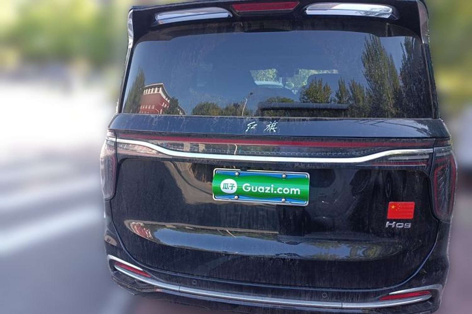 Used Hongqi HQ9 2023 2.0T Smart Connect Flagship Edition Rear