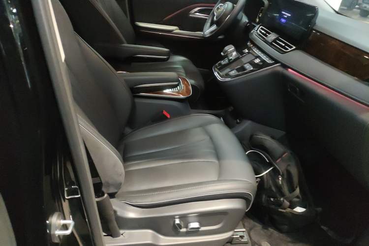 Used Hongqi HQ9 2023 2.0T Smart Connect Flagship Edition Right Front Seat