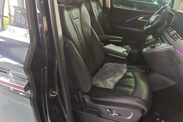 Used Hongqi HQ9 2023 2.0T Smart Connect Flagship Edition Right Front Seat