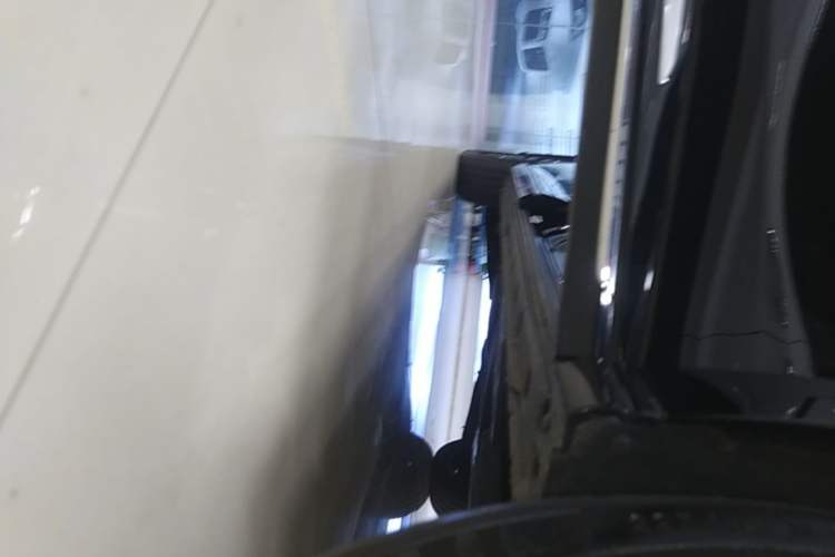 Used Hongqi HQ9 2023 2.0T Smart Connect Flagship Edition Right Side Sill