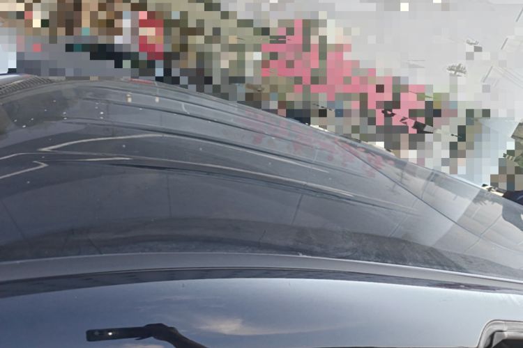 Used Hongqi HQ9 2023 2.0T Smart Connect Flagship Edition Roof