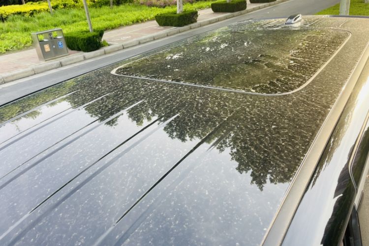 Used Hongqi HQ9 2023 2.0T Smart Connect Flagship Edition Roof