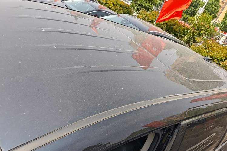 Used Hongqi HQ9 2023 2.0T Smart Connect Flagship Edition Roof