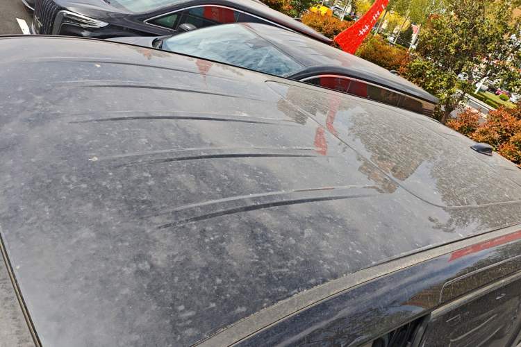 Used Hongqi HQ9 2023 2.0T Smart Connect Flagship Edition Roof