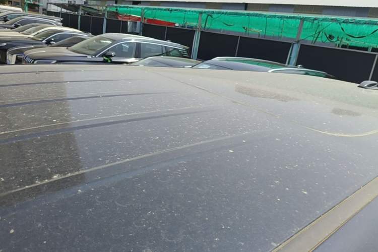 Used Hongqi HQ9 2023 2.0T Smart Connect Flagship Edition Roof