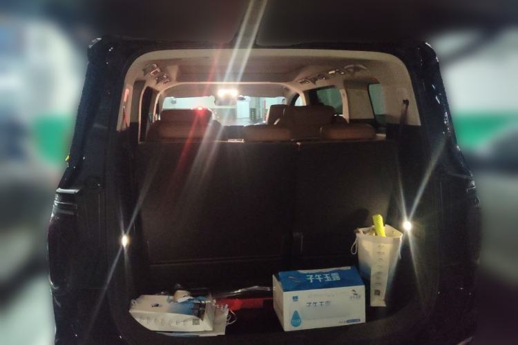 Used Hongqi HQ9 2023 2.0T Smart Connect Flagship Edition Trunk