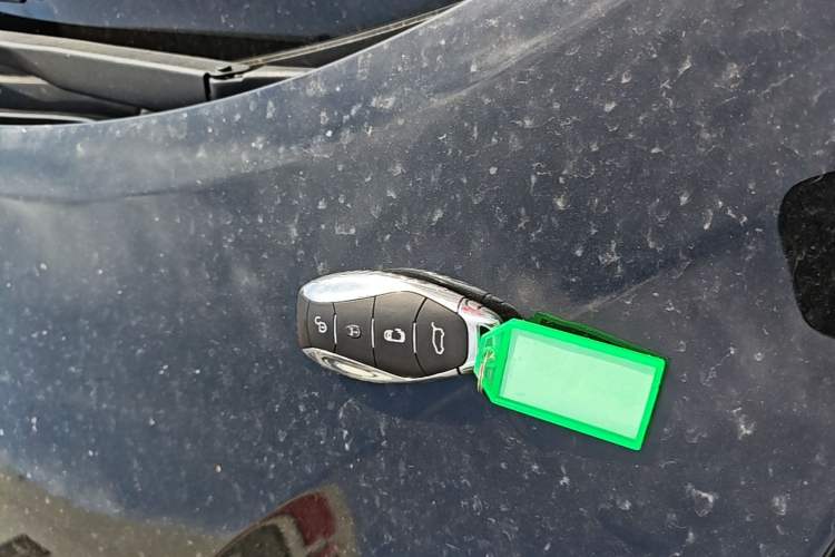Used Hongqi HQ9 2023 2.0T Smart Connect Flagship Edition Vehicle Key