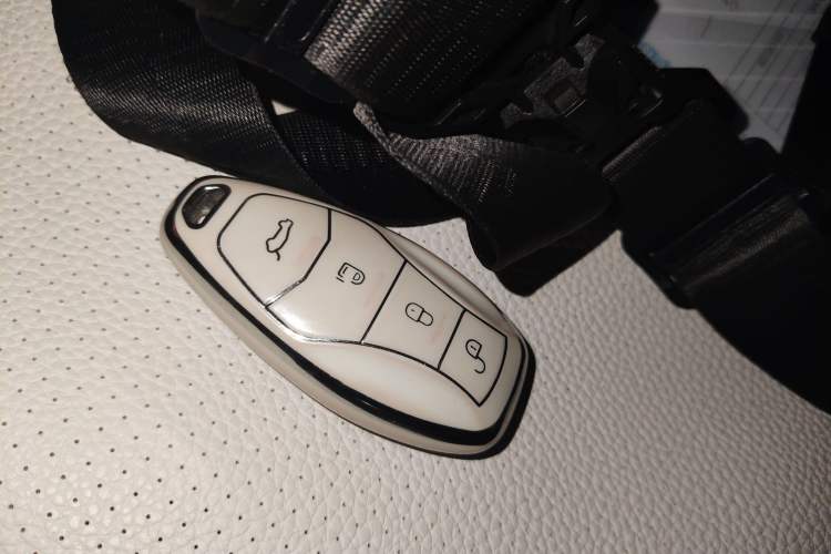 Used Hongqi HQ9 2023 2.0T Smart Connect Flagship Edition Vehicle Key