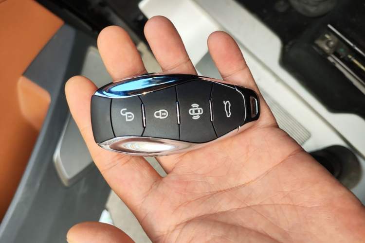 Used Hongqi HQ9 2023 2.0T Smart Connect Flagship Edition Vehicle Key