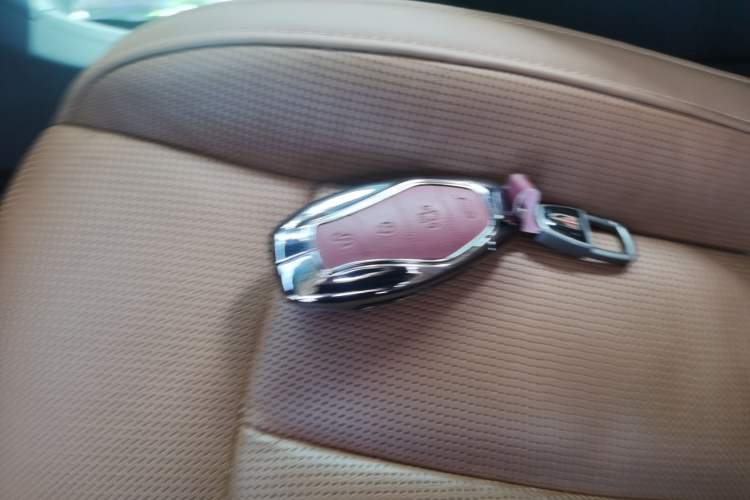 Used Hongqi HQ9 2023 2.0T Smart Connect Flagship Edition Vehicle Key