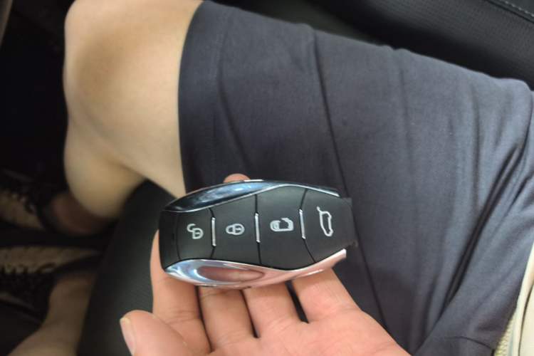 Used Hongqi HQ9 2023 2.0T Smart Connect Flagship Edition Vehicle Key