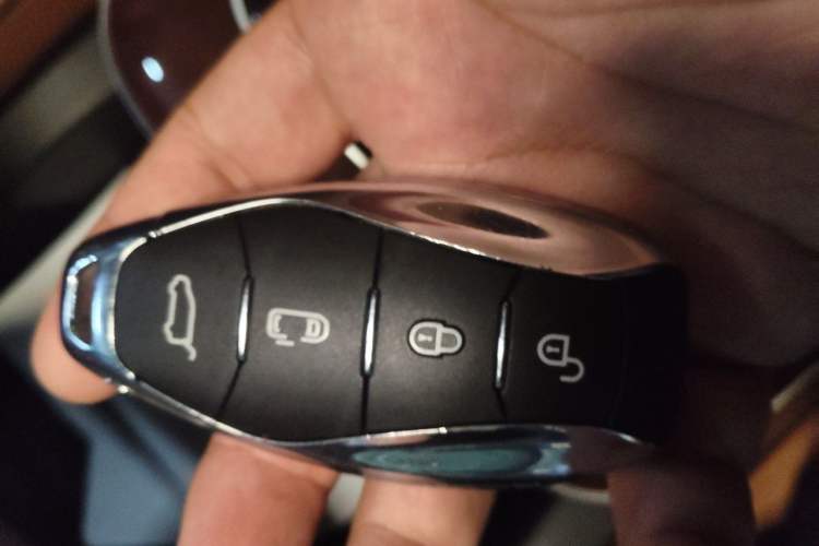 Used Hongqi HQ9 2023 2.0T Smart Connect Flagship Edition Vehicle Key