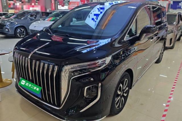 Hongqi HQ9 2023 2.0T Smart Connect Flagship Edition usata