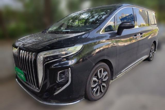 Used Hongqi HQ9 2023 2.0T Smart Connect Flagship Edition