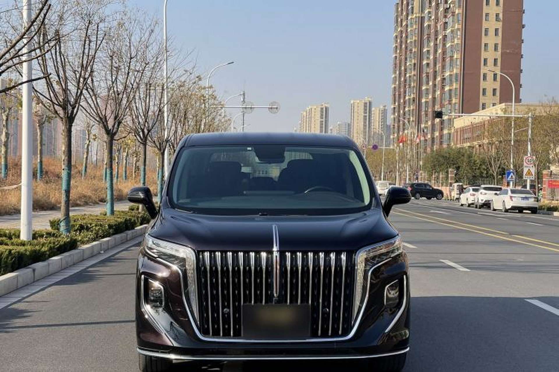 Used Hongqi HQ9 2023 2.0T Smart Connect Flagship Edition Exterior 1