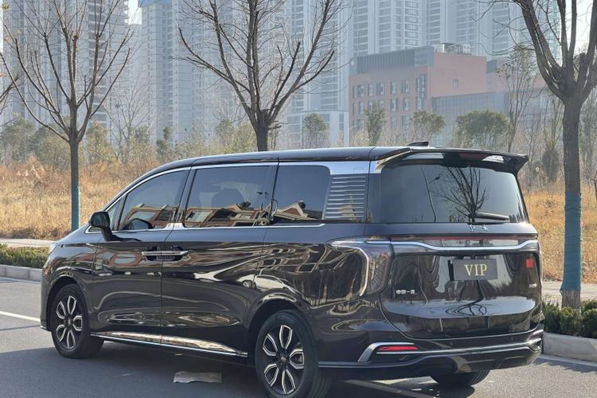 Used Hongqi HQ9 2023 2.0T Smart Connect Flagship Edition Exterior 3