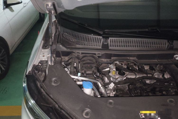 Used Hongqi HQ9 2023 2.0T Smart Connect Flagship Edition Engine Bay Right