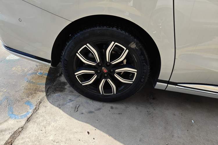 Used Hongqi HQ9 2023 2.0T Smart Connect Flagship Edition Exterior 5