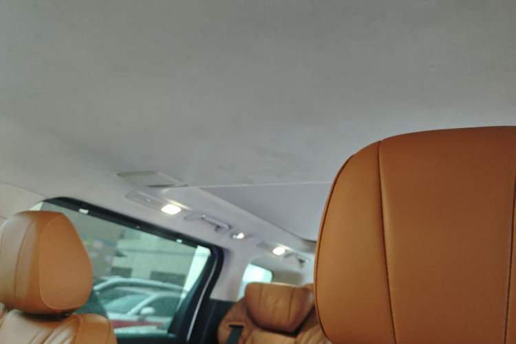 Used Hongqi HQ9 2023 2.0T Smart Connect Flagship Edition Headliner