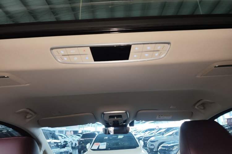 Used Hongqi HQ9 2023 2.0T Smart Connect Flagship Edition Headliner