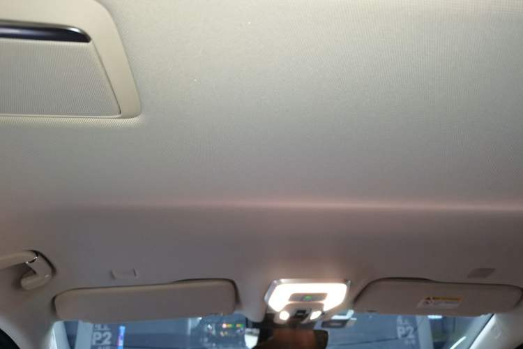 Used Hongqi HQ9 2023 2.0T Smart Connect Flagship Edition Headliner