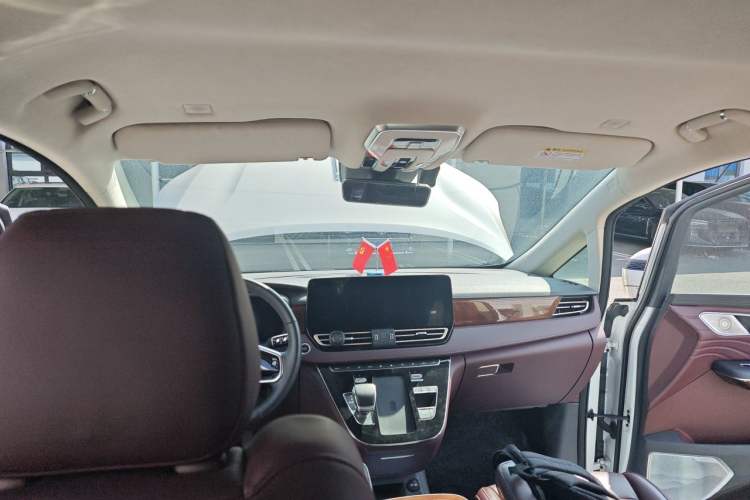 Used Hongqi HQ9 2023 2.0T Smart Connect Flagship Edition Headliner