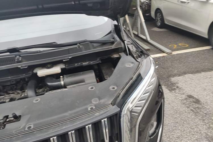 Used Hongqi HQ9 2023 2.0T Smart Connect Flagship Edition Engine Bay Left