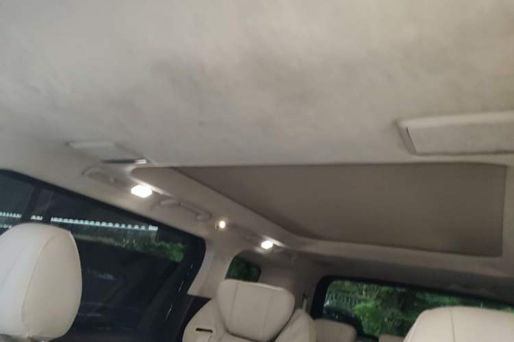 Used Hongqi HQ9 2023 2.0T Smart Connect Flagship Edition Headliner